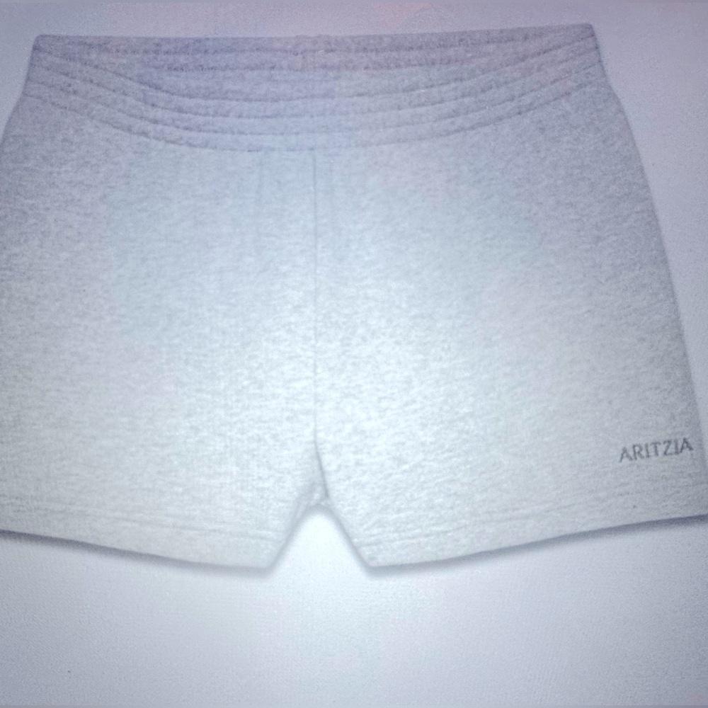 Aritzia Gray Athletic Shorts with Elastic Waistband
